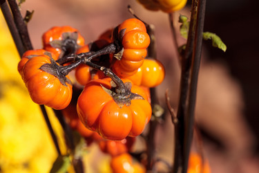 Similar image 12685891