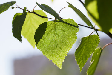 Similar image 12581929