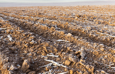 Similar image 12581947