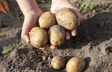 Similar image 12581964