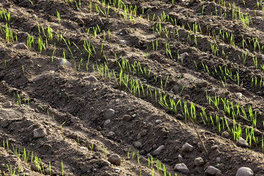 Similar image 12581986