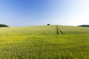 Similar image 12581987