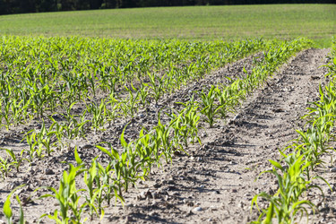 Similar image 12592876