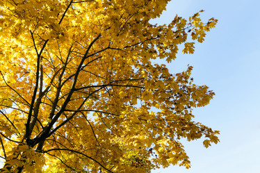 Similar image 12581954