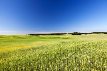 Similar image 12581965