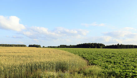 Similar image 12581955