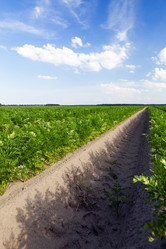 Similar image 12592878