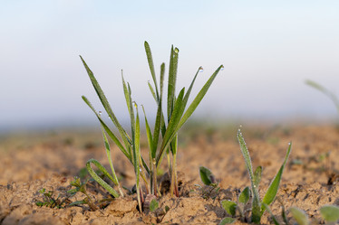 Similar image 12581977