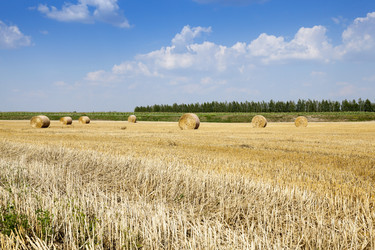 Similar image 12582011