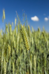 Similar image 12592882