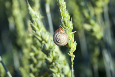 Similar image 12581918