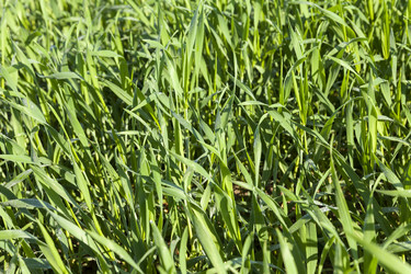 Similar image 12582012