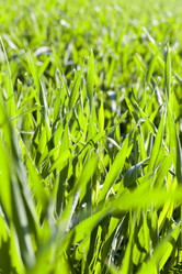 Similar image 12592885