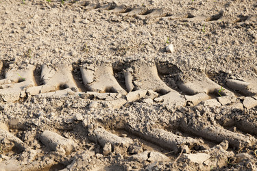 Similar image 12592886