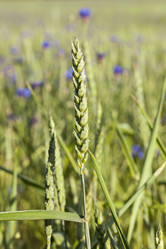 Similar image 12582014