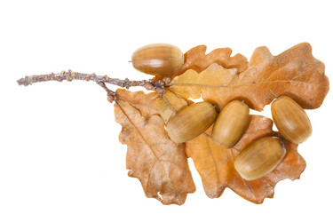 Similar image 12582015