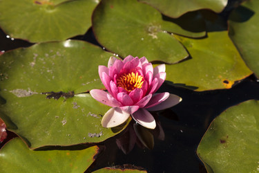 Similar image 12685874