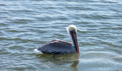 Similar image 12685875