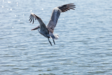 Similar image 12685877