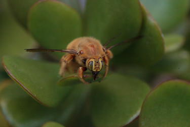 Similar image 12685936