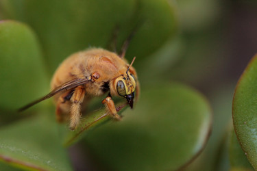 Similar image 12685937