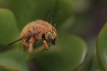 Similar image 12685939