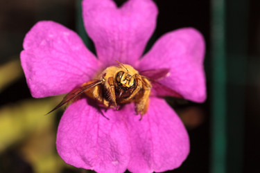 Similar image 12685941