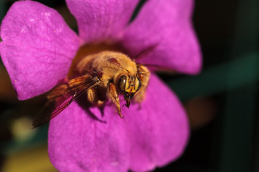 Similar image 12685943