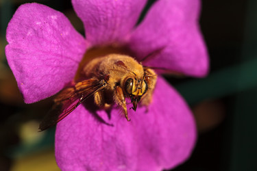 Similar image 12685944