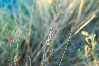 Similar image 12567024