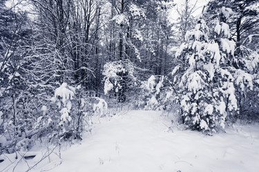 Similar image 12597419