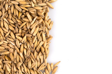 Similar image 12597455