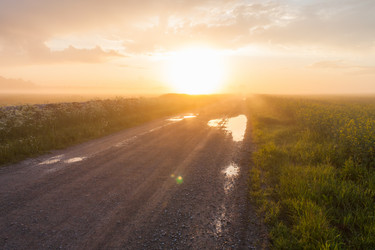 Similar image 12597456