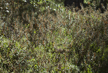 Similar image 12588640