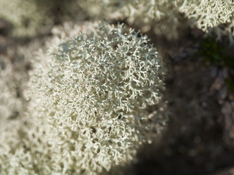 Similar image 12588652