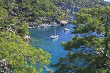 Similar image 12594501