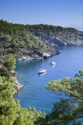 Similar image 12594502