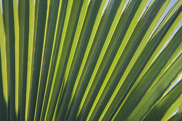 Similar image 12594400