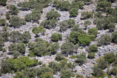 Similar image 12594442