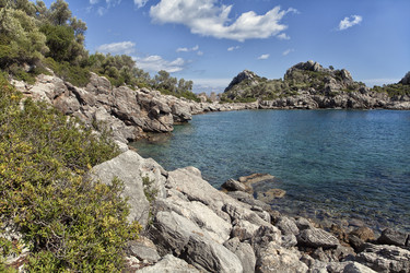 Similar image 12594460