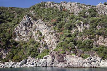 Similar image 12594485