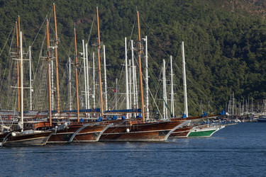 Similar image 12594529