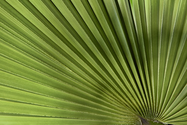 Similar image 12594345