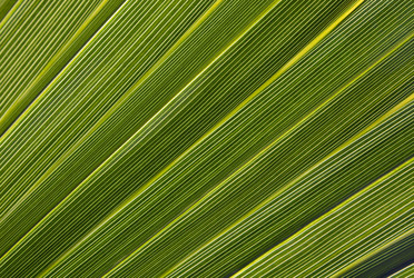 Similar image 12594462