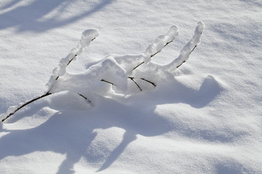 Similar image 12594492