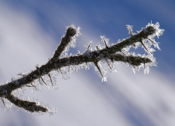 Similar image 12594530