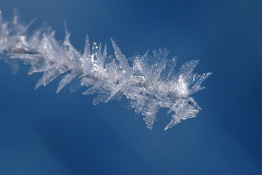 Similar image 12594556