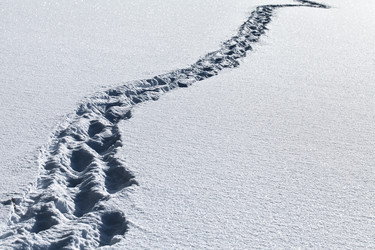 Similar image 12594319