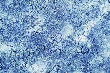 Similar image 12594495