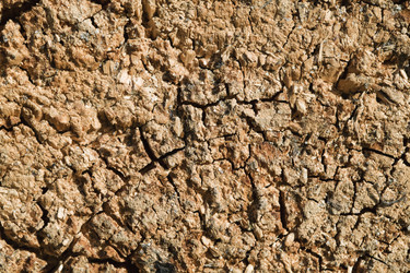 Similar image 12594348